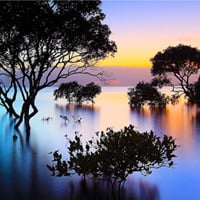 9 Tips for Making Lovely Landscapes