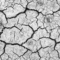 Fotografía en blanco y negro para principiantes