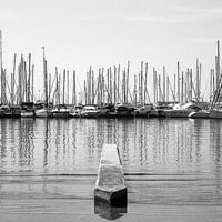 A Beginner's Guide to Film Photography