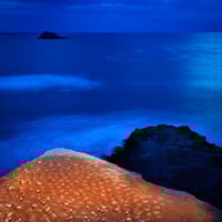 How To Paint with Light in a Landscape