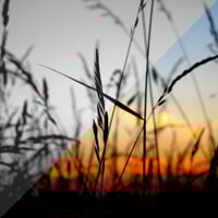 Black and White vs. Colour: The Conversion Challenge