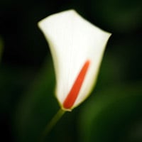 The Art of Using Aspect Ratios in Digital Photography