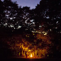 The Best Way to Learn Landscape Photography