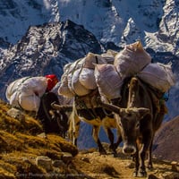 A Photographer's Guide to Visiting Nepal
