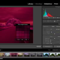 An In-Depth Guide to Infrared Photography: Processing