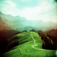 An Introduction to Holga Photography