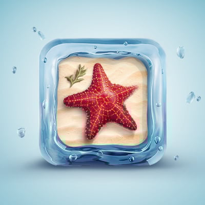Create a Beautifully Designed 3D Starfish Icon