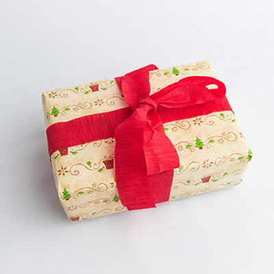 How to Create a Holiday-Inspired Animated GIF Using Stop Motion Photography