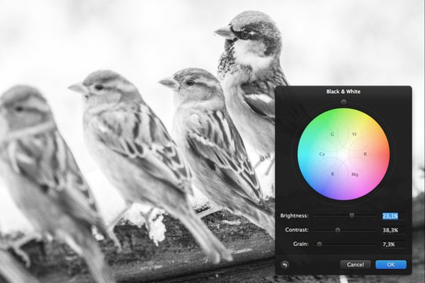 Black and White Adjustment