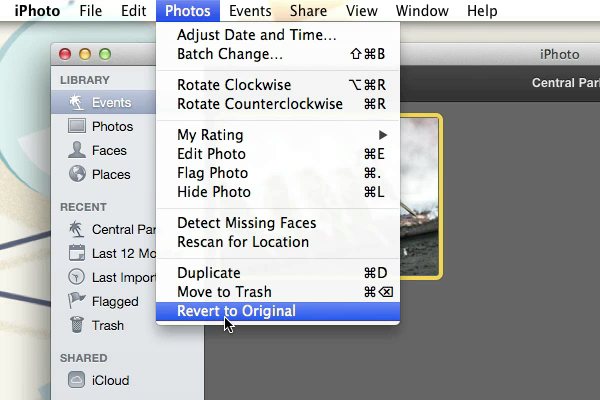 Revert to Original Image