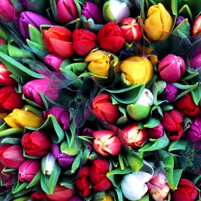 Umfassende Anleitung zu Farbeinstellungen, Farbprofilen und Proofing