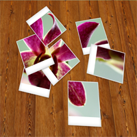 Consejo rápido: Crea un set de Polaroids (fotos instantáneas) dispersas