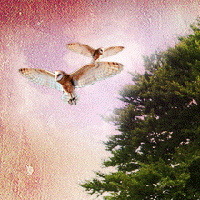 Creando una manipulación de foto inspirada en la naturaleza en Photoshop