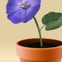Create a Flowerpot From Scratch in Photoshop