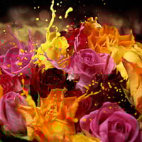 50 Photoshop Tutorials to Get You Ready for Spring