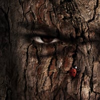 How to Apply Textures to Uneven Surfaces