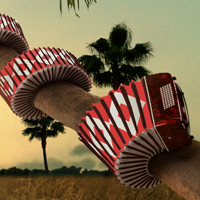 Making Sense of the Warp Tool - It's All About the Lines