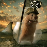 Cómo crear una imagen transparente en una simpática manipulación fotográfica