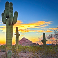 How to Reduce Digital Noise in a Photograph