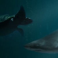 Create an Eerie Underwater Composition in Photoshop - Screencast