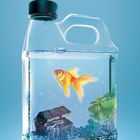 100 ilustraciones de los 20 mejores diseñadores de Oriente Medio y África