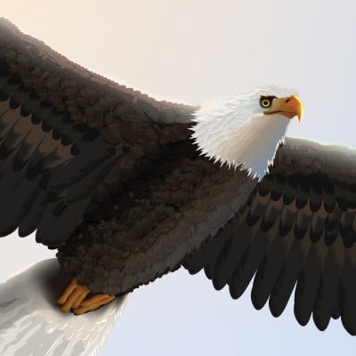 Create a Bald Eagle Illustration for Independence Day in Adobe Illustrator