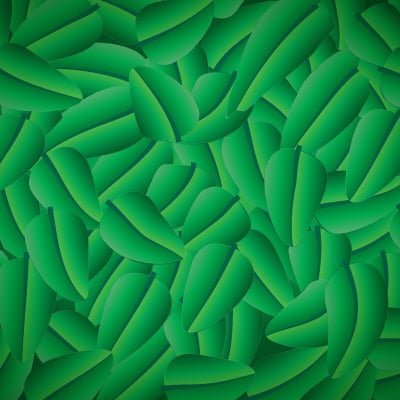 Cómo incluir un degradado dentro de un pincel en Adobe Illustrator