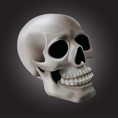 Using Meshes to Create a Detailed Skull With Adobe Illustrator