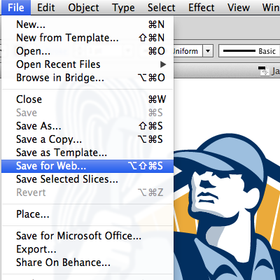 Verständnis der verschiedenen Dateitypen in Adobe Illustrators "Für Web speichern"