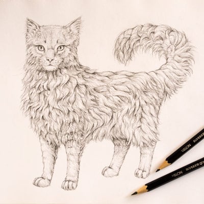 Как рисовать животных: быстро изображаем шерсть