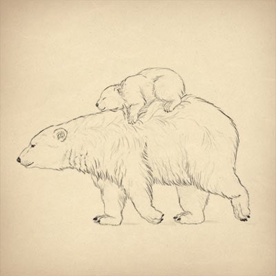 How to Draw Animals: Bears and Pandas, and Their Anatomy