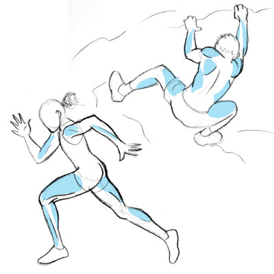 Human Anatomy Fundamentals: Muscles and Other Body Mass