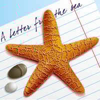 Cómo crear una estrella de mar en Adobe Illustrator