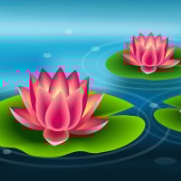 Create a Beautiful Lily Pad Using Adobe Illustrator