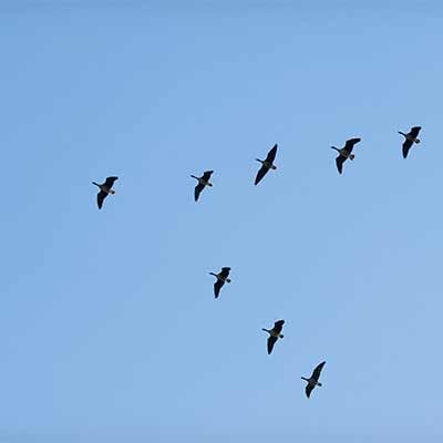 Migrating Your WordPress Database: WP Migrate DB - Development to Production