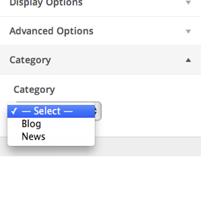 Custom Controls in the Theme Customizer