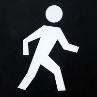 Understanding the Walker Class