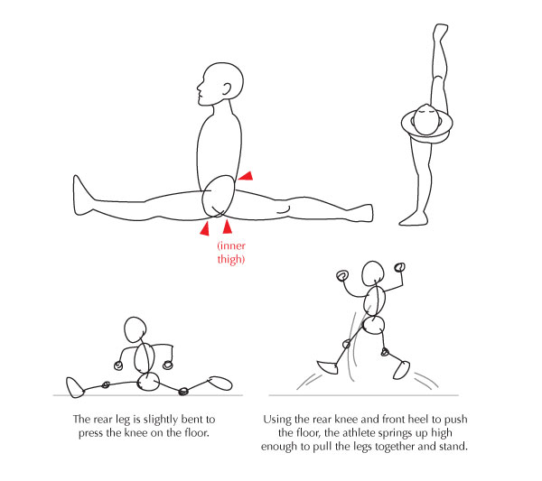 Human Anatomy Fundamentals: Flexibility and Joint Limitations | Envato ...